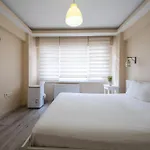 Appartement White Rose Istambul